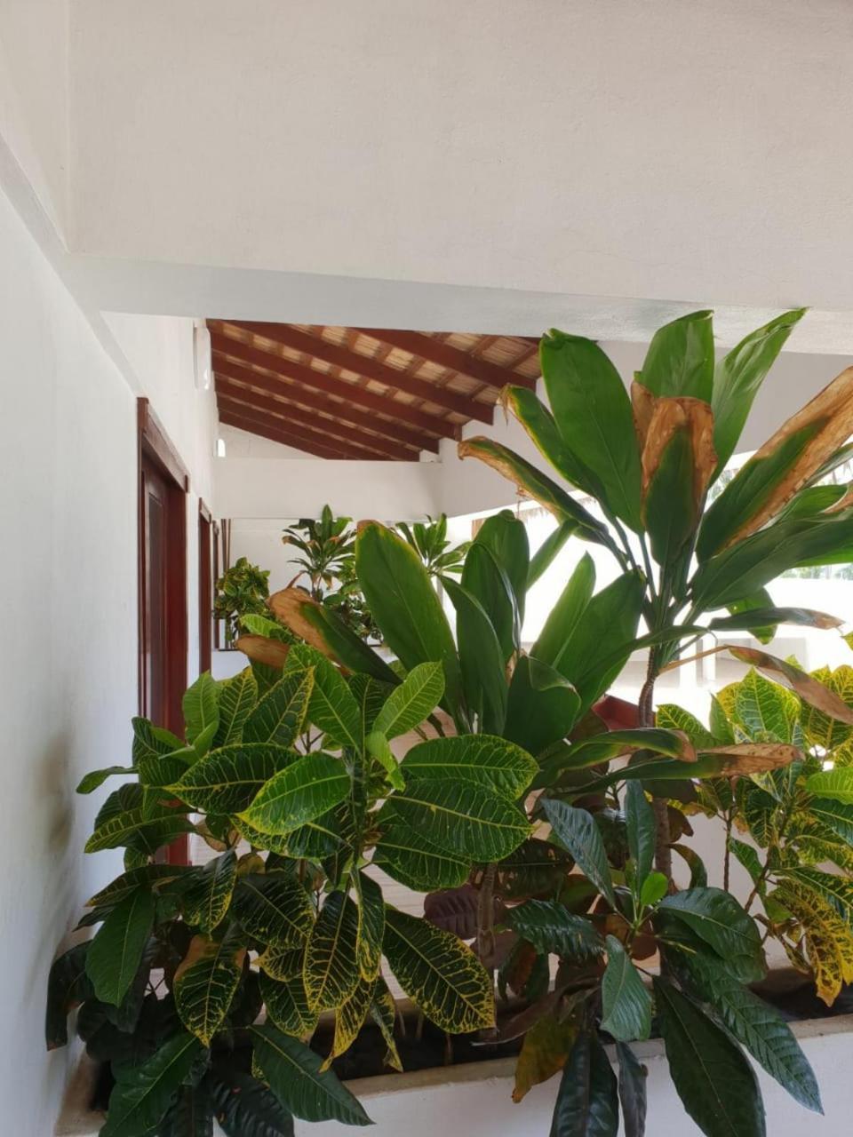 Oasi Encantada - Beach Resort Barahona Екстер'єр фото