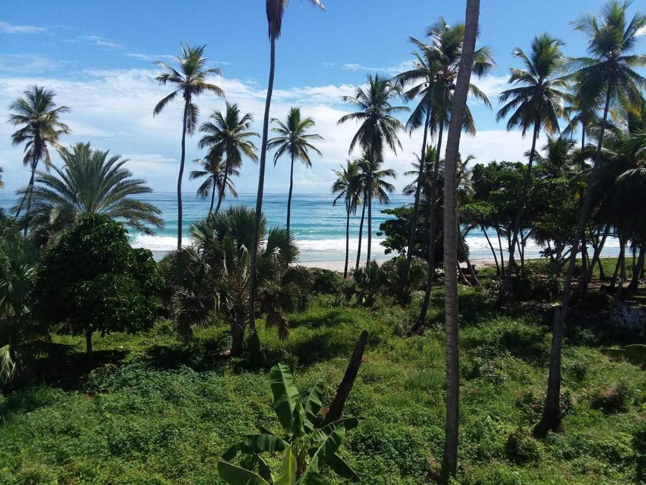 Oasi Encantada - Beach Resort Barahona Екстер'єр фото